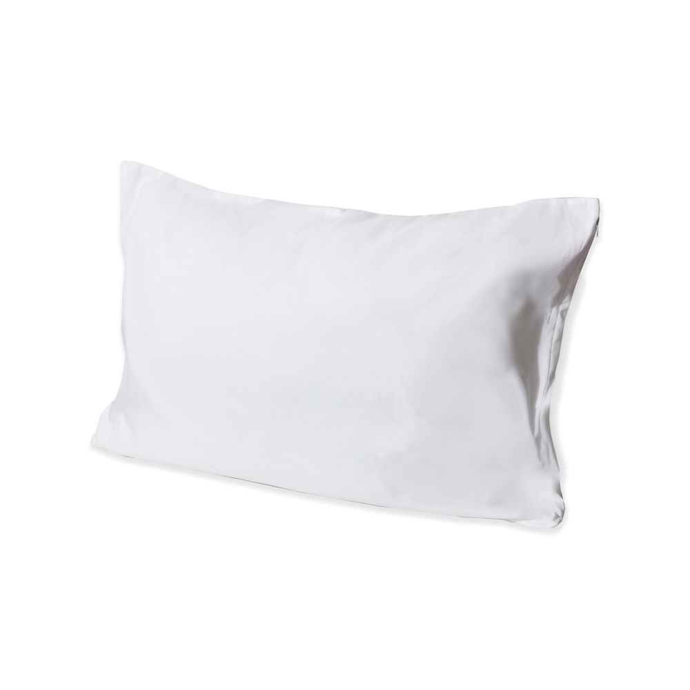 Protect360 Pillow Protector, Zipper Closure, Waterproof, Antimicrobial, Standard 21x27, White